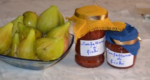 conf, fichi