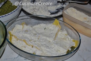 Lasagne vegetariane (4)