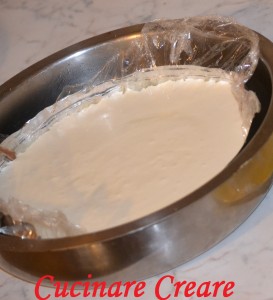 Semifreddo doppiocioccolato (3)
