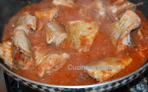 Burrida (4)