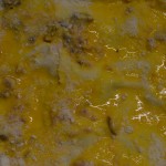 LASAGNE (1)