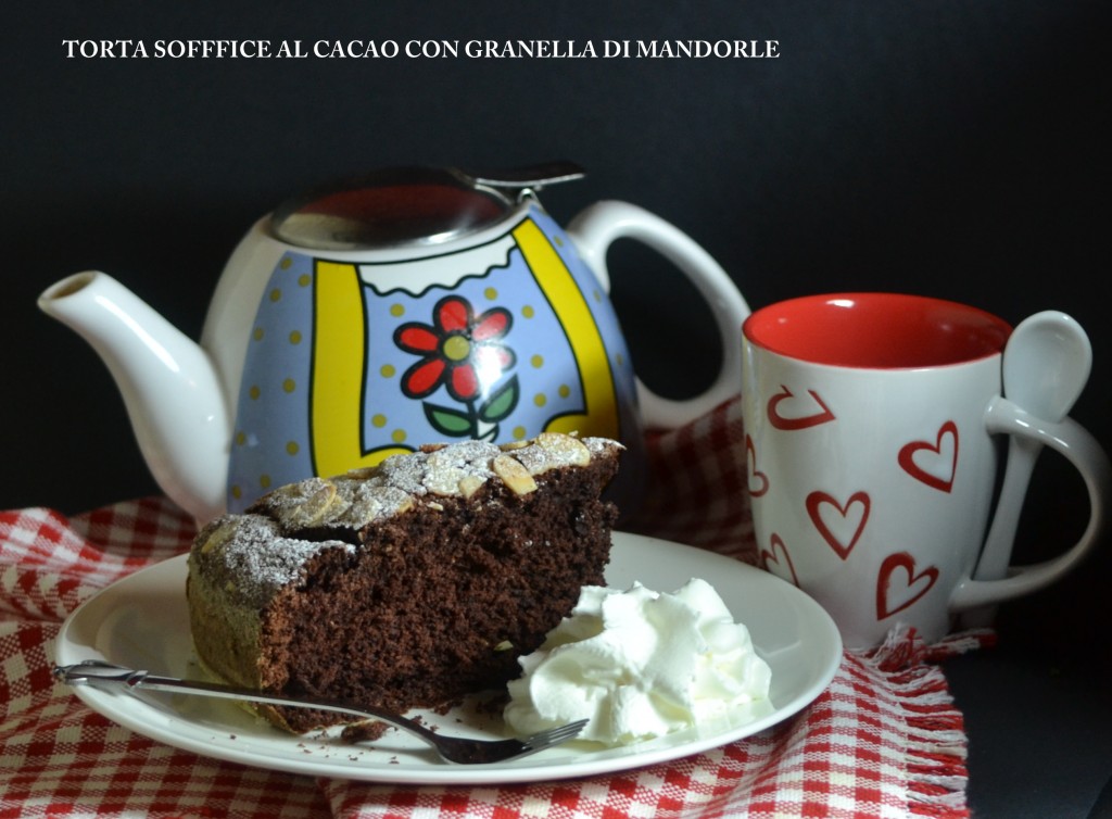 TORTA SOFFICE AL CIOCCOLATO (10)